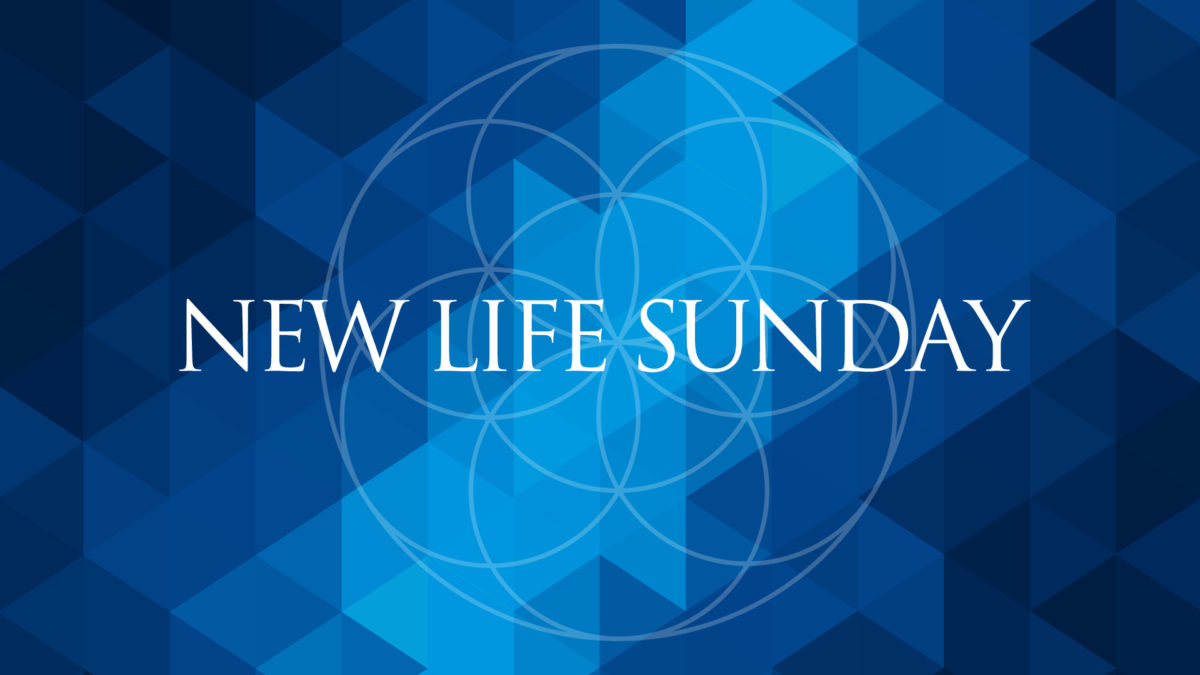 Light of Life