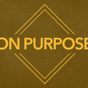 Finding Life on Purpose
