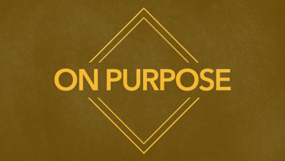 Finding Life on Purpose