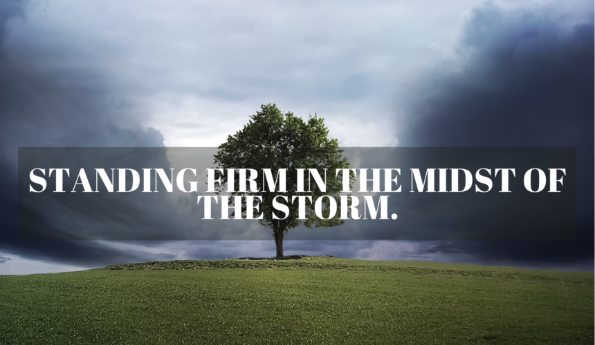 STANDING FIRM IN THE MIDST OF THE STORM STANDING FIRM IN THE MIDST OF THE STORM